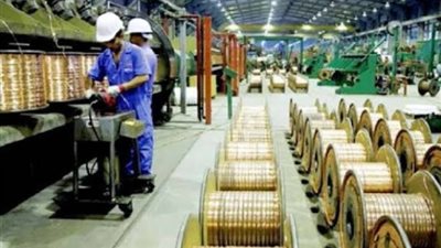 القوي العاملة: 7599 فرصة عمل في 20 شركة برواتب تصل إلي 6500 جنيه