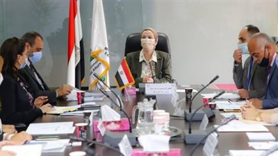 وزيرة البيئة تلتقي شركات تحويل المخلفات لطاقة لاستطلاع آليات بدء التنفيذ