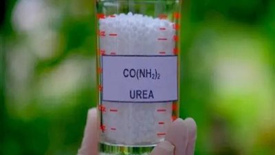 شركة موبكو تقرر إضافة نشاط إنتاج وتوزيع وبيع محلول اليوريا إلى غرض الشركة