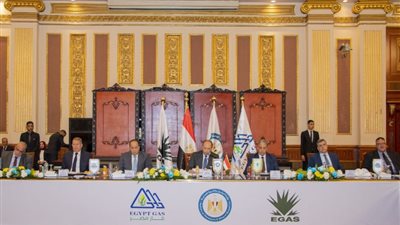 وزير البترول يعتمد نتائج أعمال شركة غاز مصر عن عام 2022