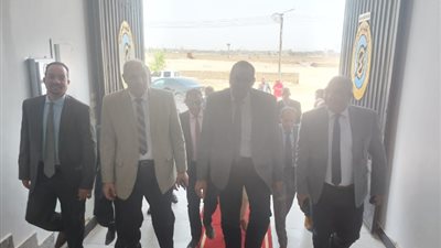 برئاسة «الدستاوى»...تفاصيل جولة «وفد» القابضة للكهرباء لقطاع توزيع سوهاج