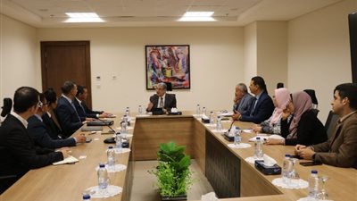 وزير الكهرباء يستقبل نائب الرئيس التنفيذى لشركة CTGI الصينية لدعم التعاون والاستثمار على ارض مصر