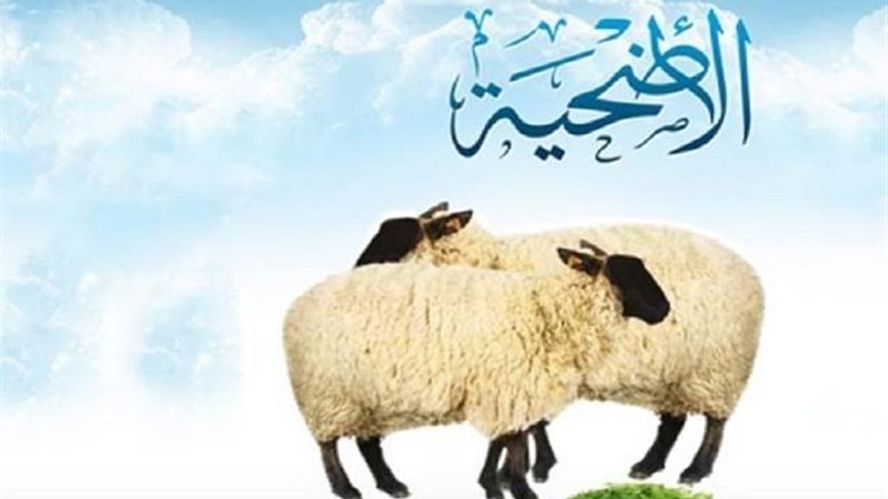 عالم الطاقة