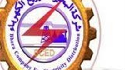 12مليار جنيه لتطوير شبكة توزيع «كهرباء البحيرة»
