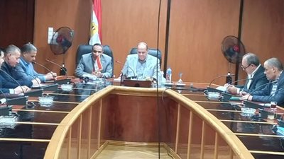 رئيس«شمال الدلتا» للكهرباء يلتقى المدير التنفيذي ل«شعاع»