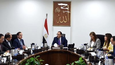 مدبولي يستعرض مقترحا بإنشاء مصنعين للأسمدة الفوسفاتية والسيليكون المعدني لإنتاج الألواح الشمسية