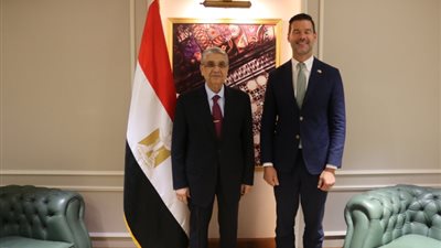 مباحثات مصرية سويدية لبحث التعاون بين الطرفين فى مجالات الكهرباء