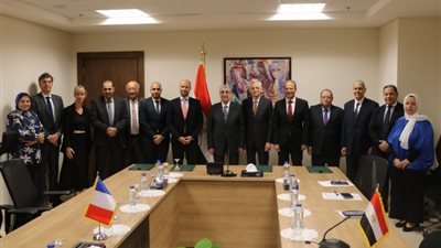 تنسيق كهربائى مصرى فرنسى لتعزيز التعاون بين الطرفين