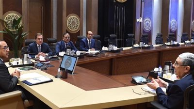 رئيس الوزراء يتابع إجراءات تعظيم دور الطاقة المتجددة خلال الفترة المقبلة