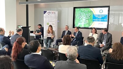 الملا من جلسة ترويج بلندن.. فرص مصرية متميزة للتعاون والاستثمار فى الهيدروجين الأخضر