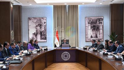 رئيس الوزراء يتابع موقف برنامج الطروحات الحكومية
