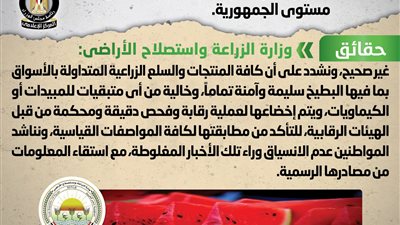 مجلس الوزراء ينفي شائعة انتشار بطيخ مسرطن بالأسواق 