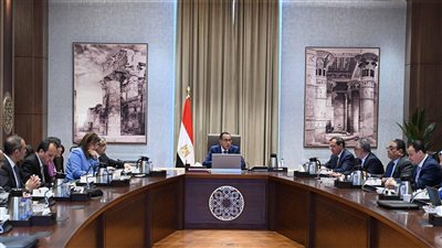 رئيس الوزراء يتابع موقف مشروعات الهيدروجين الأخضر