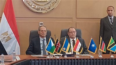 9300 متدرب إفريقي من خلال قطاع الكهرباء والطاقة المتجددة المصرى  