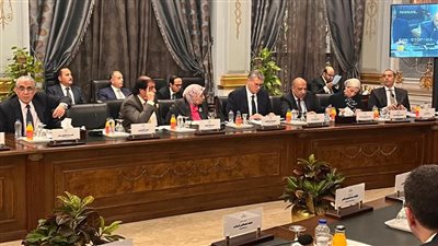 وزير البترول يناقش برنامج الحكومة الجديدة أمام اللجنة البرلمانية 