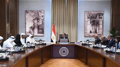 رئيس الوزراء يعقد اجتماعاً لبحث مجالات التعاون بين مصر والإمارات في ملف الطاقة المتجددة
