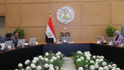 وزير الكهرباء والطاقة المتجددة يتابع أعمال تنفيذ خط الربط المصرى السعودى 