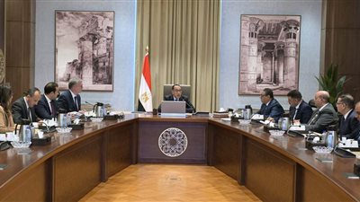 رئيس الوزراء يتابع موقف أنشطة البحث والاستكشاف عن الثروات الطبيعية والمعادن النفيس