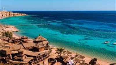 فصل قيادة عن العمل تشغل الإشراف على رئاسة قطاع حيوى بشركة توزيع كبرى