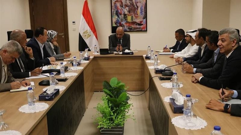 وزير الكهرباء 