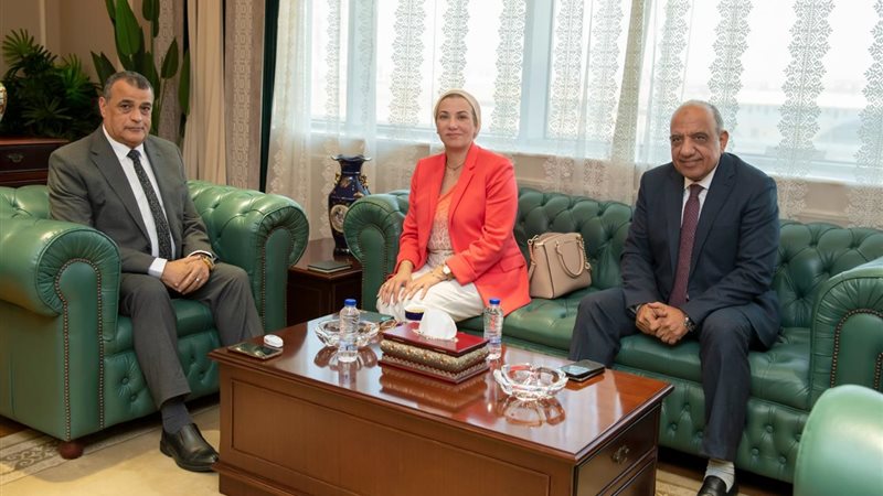 وزير الكهرباء 