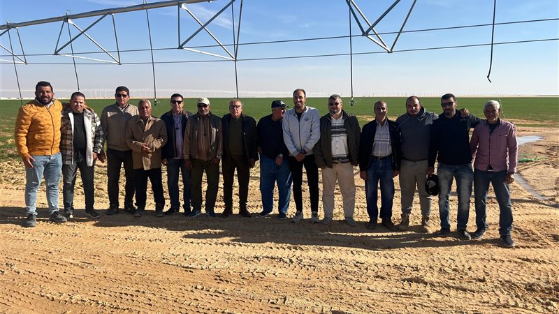 عالم الطاقة