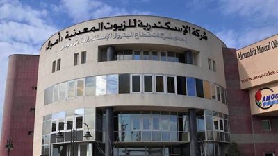 أموك تشارك في انتخابات مجلس الشيوخ ٢٠٢٥