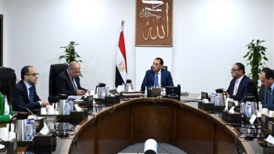 رئيس الوزراء يتابع تنفيذ التغذية الكهربائية للمشروعات الزراعية بالدلتا الجديدة