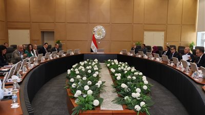 «الأعلى للطاقة»يناقش توفير 