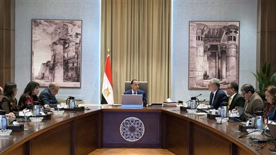 رئيس الوزراء يُتابع مع وزيري الكهرباء والبترول جهود توفير احتياجات الطاقة خلال الصيف المقبل وتحسين كفاءتها