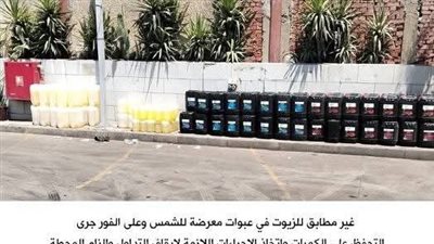 الرقابة على التداول تضبط 100 ألف لتر بنزين وسولار بمحافظتي أسيوط والإسكندرية 