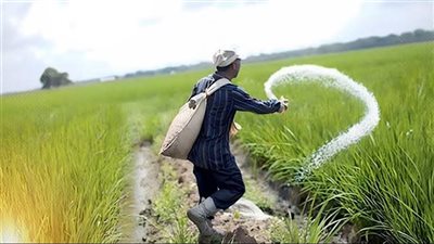 مصانع الأسمدة تورد 260 ألف طن لـ