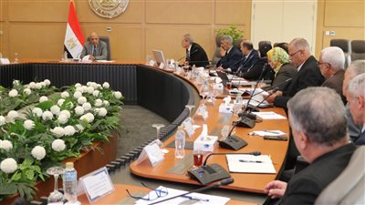 وزير الكهرباء: نعمل على ضمان استقرار الشبكة واستمرارية التيار الكهربائي ومواجهة التعديات