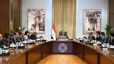 رئيس الوزراء يلتقي شركة 