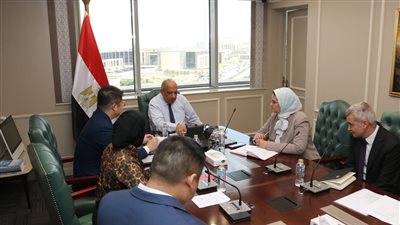 وزير الكهرباء يبحث مع “صن ريف سولارSunRev Solar  الصينية التعاون في مجالات الطاقة المتجددة وتصنيع مهمات الطاقة الشمسية