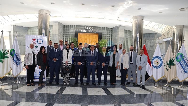 عالم الطاقة