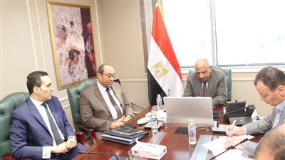 وزير الكهرباء يبحث مع مسئولي “سكاتك النرويجية” التوسع فى أنظمة تخزين الطاقة وتوطين صناعة البطاريات