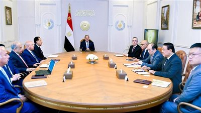 الرئيس السيسي يستقبل رئيسي 