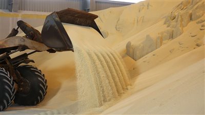 تحالف مصري يدرس إنشاء مصنع أسمدة فوسفاتية بـ600 مليون دولار