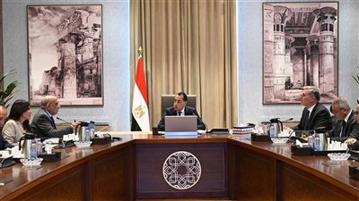 رئيس الوزراء يتابع الموقف التنفيذي لمشروعات الطاقات المتجددة