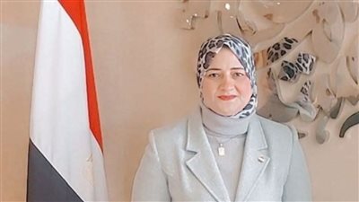 مدير إدارة الاتصال السياسي بديوان الكهرباء عضوا بمجلس الشيوخ 