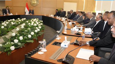 وزير الكهرباء يتابع تنفيذ الخطة الأمنية فى جميع مواقع العمل والإنتاج التابعة