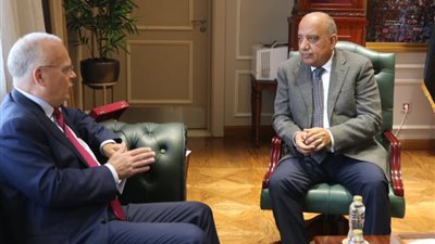 وزير الكهرباء يستقبل سفير السويد بالقاهرة لبحث التعاون فى مجالات الطاقة المتجددة