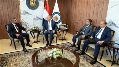 مباحثات مصرية إماراتية لتعزيز الشراكة في كفاءة استخدام الطاقة 