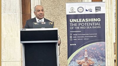 جنوب الوادي تنظم ورشة عمل للمستثمرين حول فرص الاستكشاف بالبحر الأحمر و النظام التحفيزي الجديد