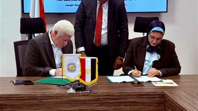 نقل الكهرباء توقّع عقدًا جديدًا لربط محطة الضبعة النووية بالشبكة القومية