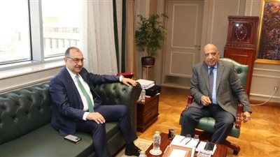 وزيرا الكهرباء وقطاع الأعمال العام يبحثان التعاون في كفاءة الطاقة وترشيد الاستهلاك 