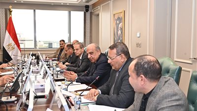 وزيرا الكهرباء والري يبحثان التعاون لتعظيم عوائد المحطات الكهرومائية