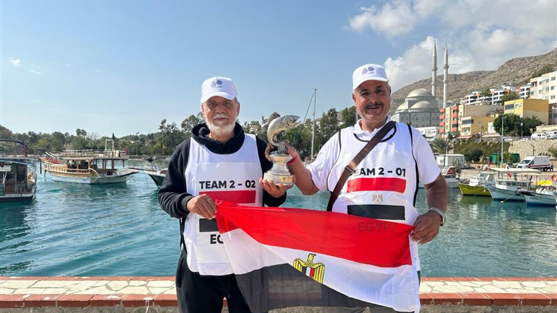 عالم الطاقة