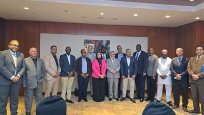 قطاع الطاقة في مصر تحت مجهر مراجعة النظراء من خمس دول أفريقية